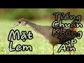 Download Lagu Siêu phẩm quốc mặt lem không tạp âm bẫy là dính 2019