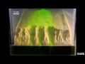 An experimental approach to submarine canyon evolution
