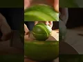 Lagu 🍈 Ultra Realistic Melon Cutting ASMR | Relaxing Knife Sounds on Wooden Board