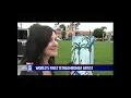Concetta Antico Tetrachromat Art on KSWB TV