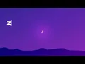 Zach Diamond  |  Moves Lyric