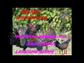 Download Lagu Pikat ayam hutan hijau ngekek birahi. 100% langsung mendekat.#snipergk#pikatayamhutanhijau
