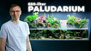 Our Most Ambitious Paludarium Build Yet