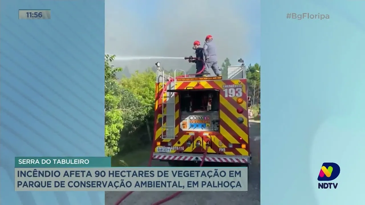 Incêndio afeta 90 hectares de vegetação na Serra do Tabuleiro em Palhoça
