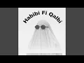 Download Lagu Habibi Fi Qalbi 2