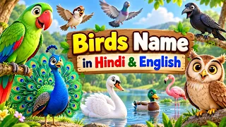 Birds Name in Hindi and English | पक्षियों के नाम | 15 Bird | Birds Name & Sound | #beautifulbirds