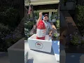 Unboxing Mail Ordered Crawfish