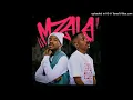 Mzala siyakwaz - Zee nxumalo shakes and less