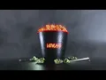 Venuss - Chicken (Visualizer)