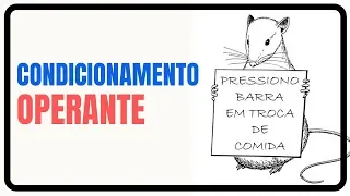 O Condicionamento Operante | Skinner | Psicologia Comportamental