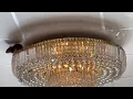 Rat caught on camera on chandelier at Chinese restaurant in Clovis California