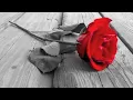 L.A. Guns - Ballad of Jayne lyrics