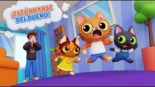 ¡Jugamos a mi nuevo juego "Las escondidas de Simba"! 😻 (¡Me escapo de mi dueño, AAA!)