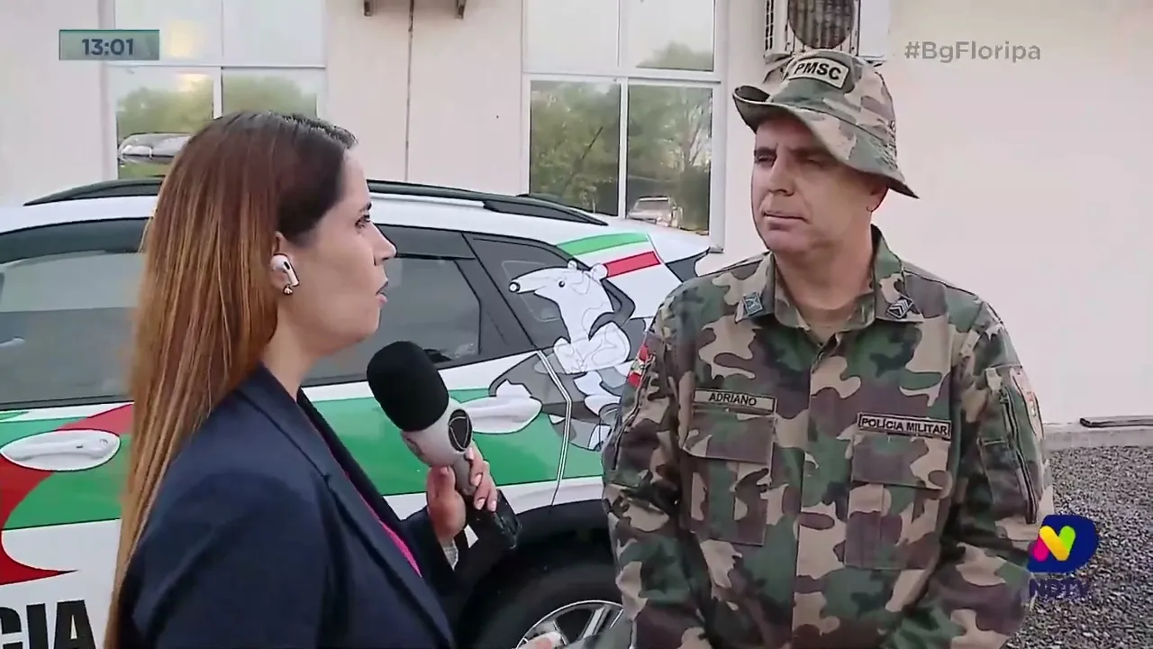 Cuidados com cobras: animais são mais comuns de serem vistos na primavera-verão