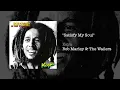 Satisfy My Soul (1978) - Bob Marley & The Wailers