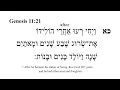 Genesis 11 -