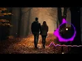 Dola Re Dola - Lofi Mix | Devdas | Aishwarya Rai | Madhuri Dixit | Shreya Ghoshal | @Darkalbum736