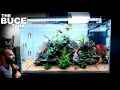 Download Lagu The Buce Tank: Amazing Reef Style Planted Aquarium (Aquascape Tutorial)