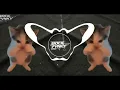 DJ KICAU MANIA REMIX ANGKATLAH TOPI MINAT MONGGO JAPRI || GASPOL NDANGAK VIRAL TIKTOK | AKBAR CHALAY