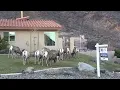 Lake side homes in Boulder City NV