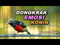 Download Lagu ROLL TEMBAK KONIN GACOR FULL ISIAN COCOK UNTUK DONGKRAK EMOSI KOLIBRI NINJA AGAR CEPAT JEBOL BIRAHI