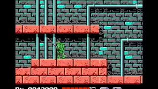 Teenage Mutant Ninja Turtles NES Walkthrough