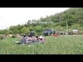 Download Lagu Koreaanse Plattelandsdagboeken:De Oogsten van Onze Familie,Hartelijke Maaltijden\u0026Eenvoudige Vreugden
