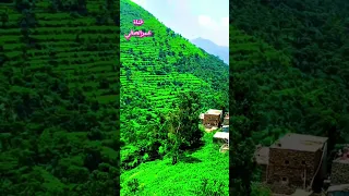 حبيبي قلبي يحن حنينه اجمل اغاني الفنان ايوب طارش حالات وتساب 