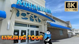 Jenkinson s Boardwalk Aquarium Point Pleasant New Jersey - 8K Full Tour Travel Review