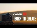 Download Lagu The CANON R50 - 4K CINEMATIC
