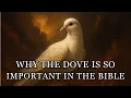 Download Lagu Why the Dove Is So Important in the Bible - Full Symbolism Explained