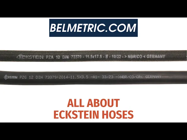 ECKSTEIN