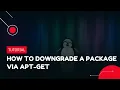 How to downgrade a Package via apt-get VPS Tutorial