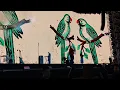 TUL8TE - Narein I تووليت - نارين LIVE FROM U ARENA🇪🇬