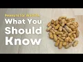 The Best Bulk Peanuts for Squirrels Birds Link In Description