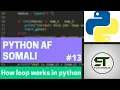 PYTHON AF SOMALI HOW LOOP WORKS IN PYTHON