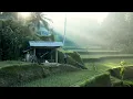 Download Lagu Lagu sunda jawa barat - bulan teh langlayangan peuting