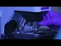 Male factor infertility semen analysis and sperm washing