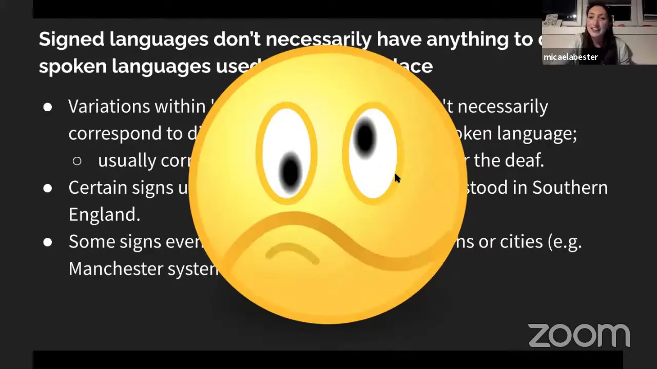 Micaela Bester -  The Linguistics of British Sign Language (Nerd Nite London 18th November 2020)