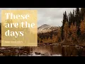 Out of the box favorites x2 - Fall 2026 cabi collection