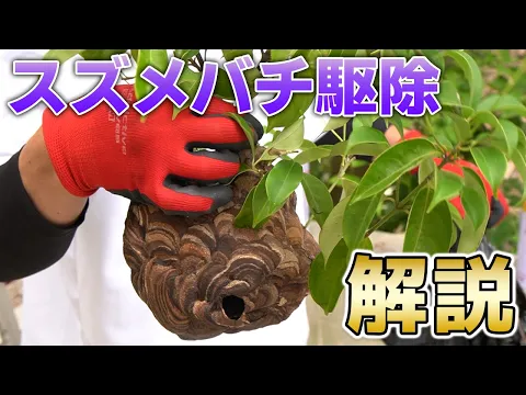 【多摩限定：即日・翌日ご相談ください】年内再発保証も料金内で7年連続アワード受賞