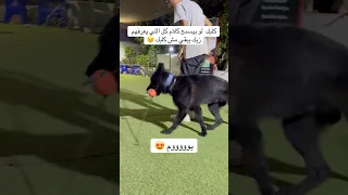 ١٧ سبتمبر ٢٠٢٥ 