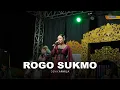 Download Lagu ROGO SUKMO - Denik Armila || KUWUNG WETAN ft HSB AUDIO || Live Bagorejo