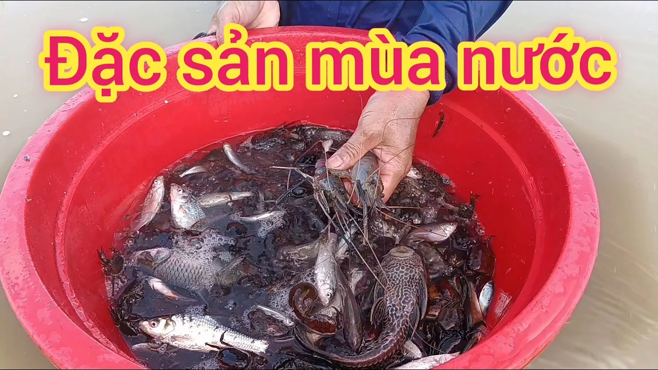 Đặc sản mùa nước nổi 14