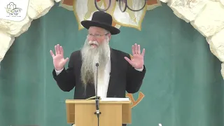 קרקע בחובת עליה לרגל קרבן פסח ושמחה שיעור כללי י כסלו פ ה הרב דוד דודקביץ 