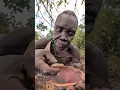 Download Lagu #hadzabetribe#dudukwe#chaaba#wildlife#yummyfood#foryou#trendingvideo#villagefood