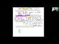 Evolution Unit Test Study Guide Review - Questions 11-20