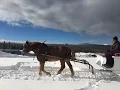 Holiday Traditions in Sunriver