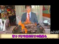[Big Eater] Failure fee of 30,000 yen!! The result of the biggest ever big-eat steak eating chall...