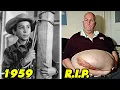 The Rifleman 1958 1963 After 67 Years Later The Tragic Fates of the Cast in 2025